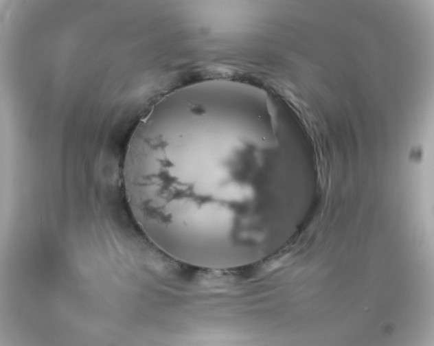 X0000092060331200709121359