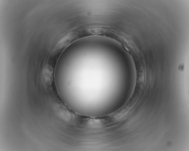 X0000092060332200709121359