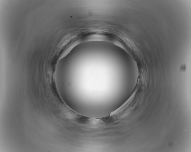 X0000092060333200709121359