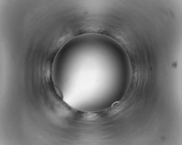 X0000092060334200709121359