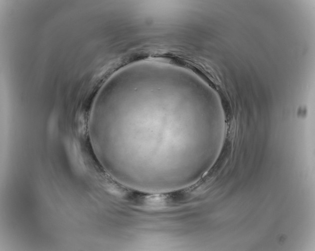 X0000092060335200709121359
