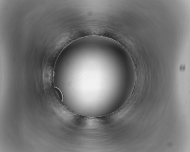 X0000092060336200709121359