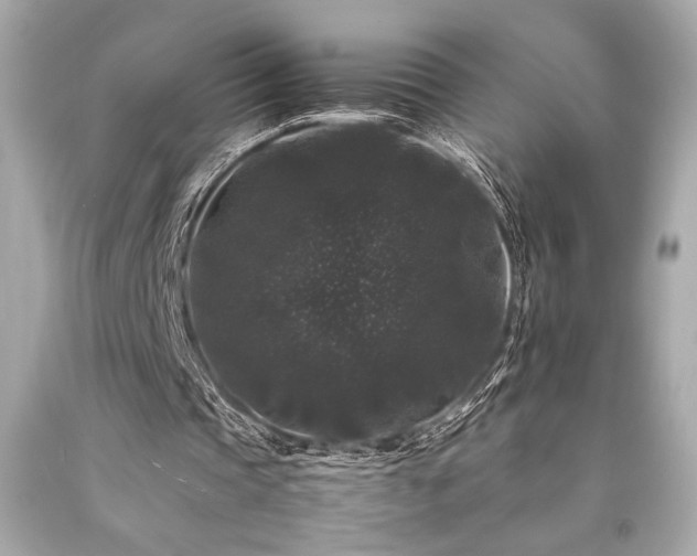 X0000092060337200709121358
