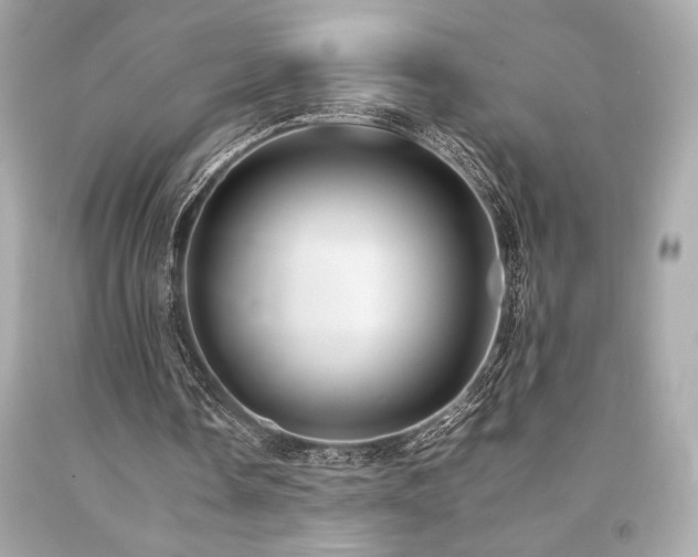 X0000092060338200709121358