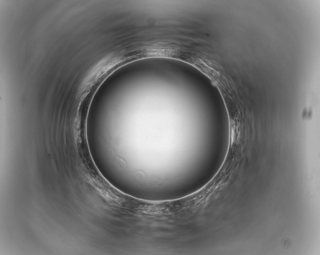 X0000092060339200709121358