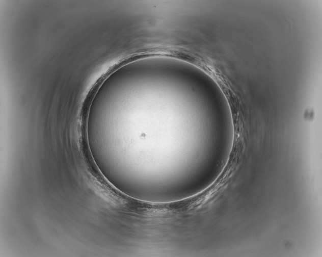 X0000092060342200709121358