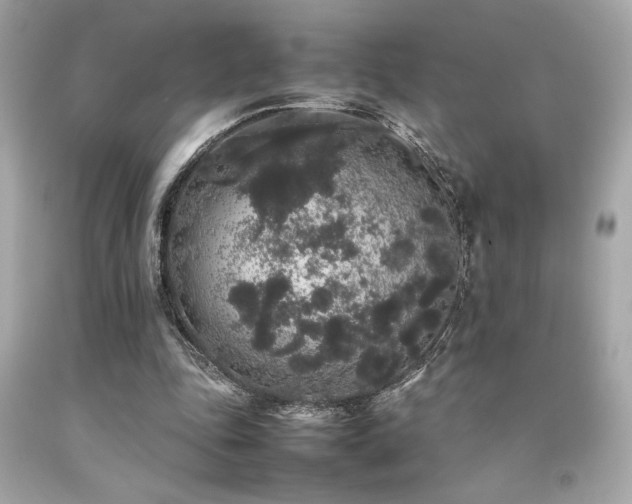 X0000092060343200709121358