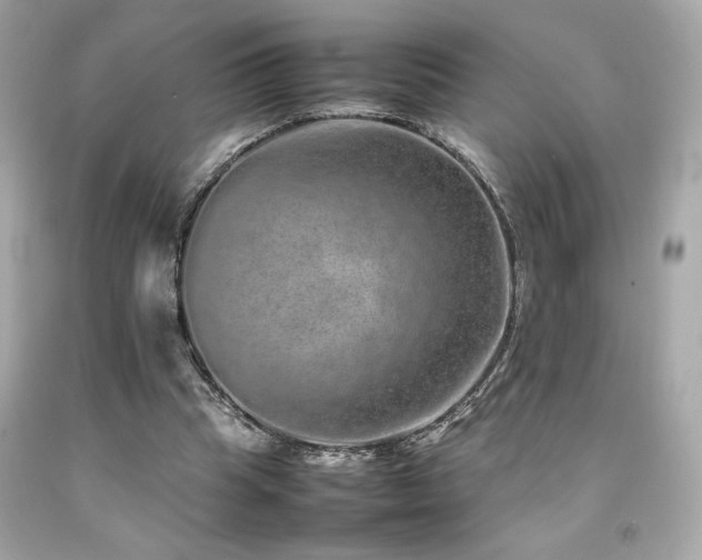 X0000092060345200709121358