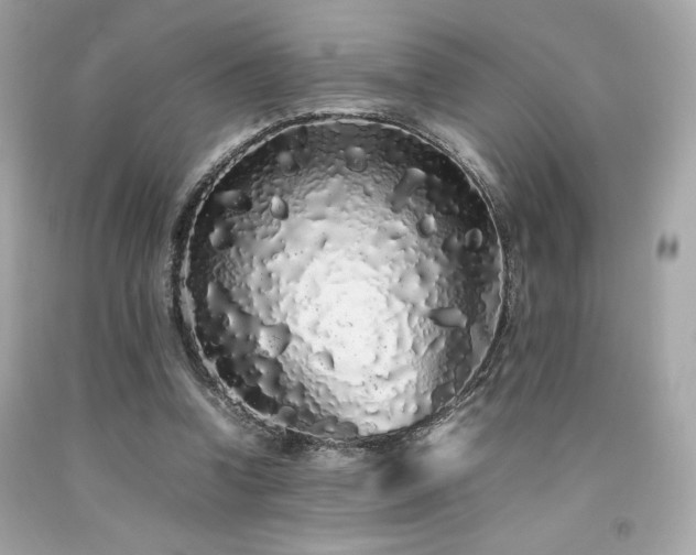 X0000092060346200709121358