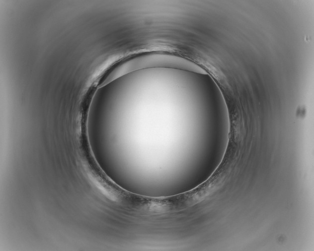 X0000092060350200709121358