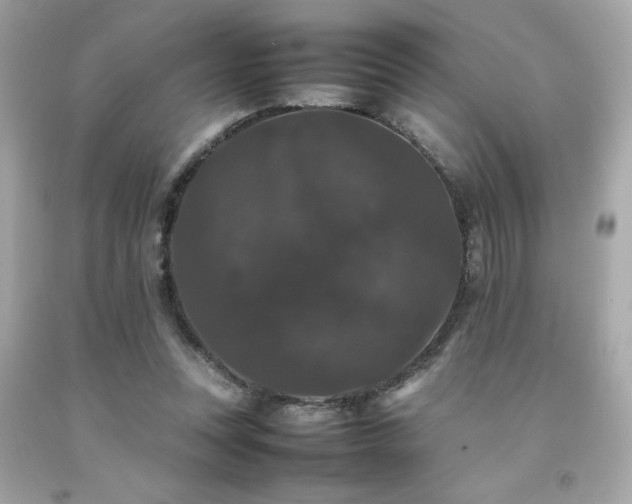 X0000092060351200709121358