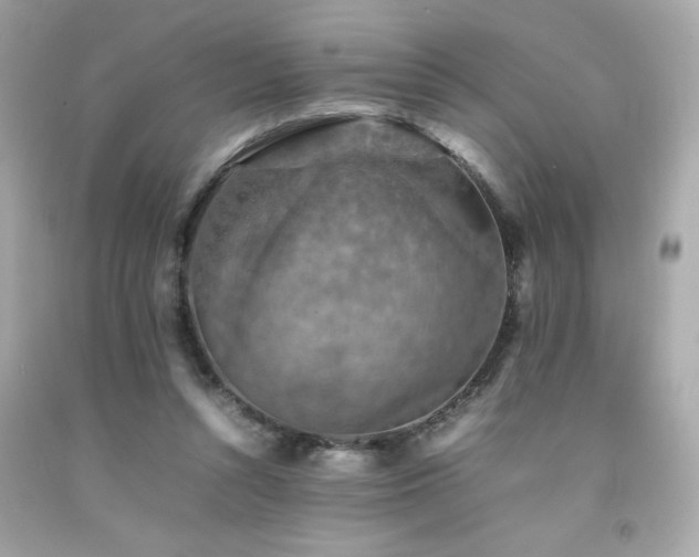 X0000092060352200709121358