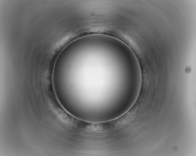 X0000092060354200709121359