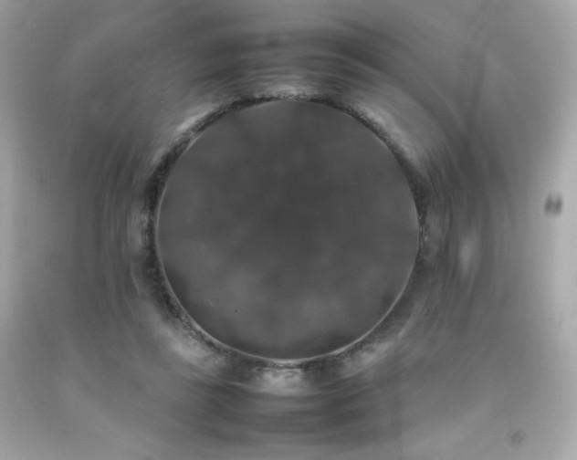X0000092060355200709121359