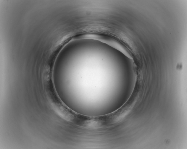 X0000092060356200709121359