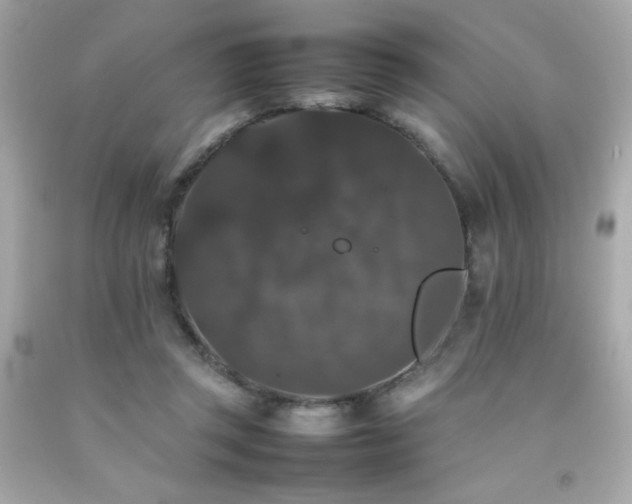 X0000092060357200709121359