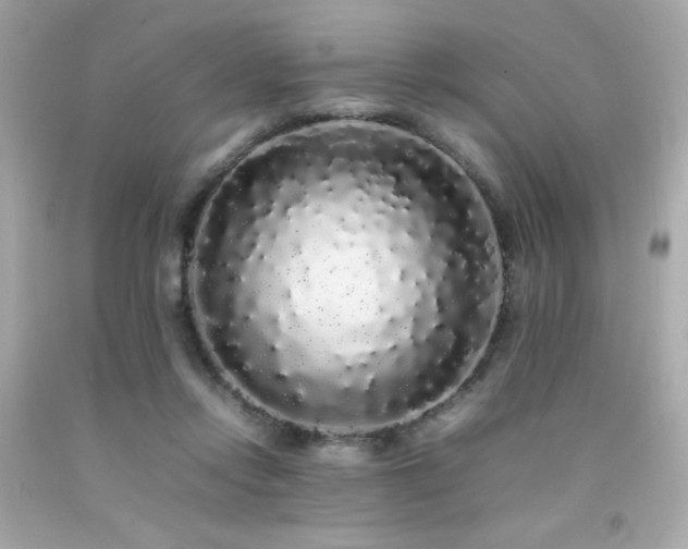 X0000092060358200709121359