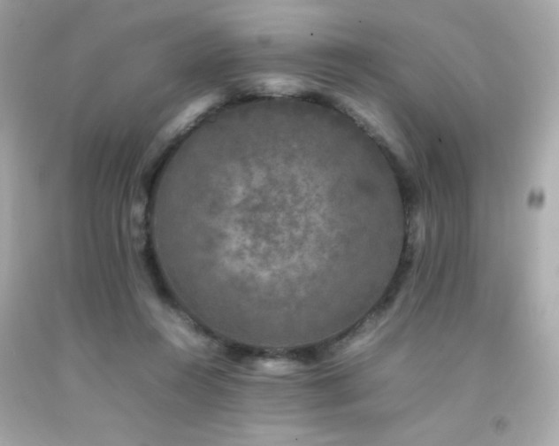 X0000092060360200709121359