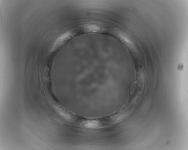 X0000092060361200709121359
