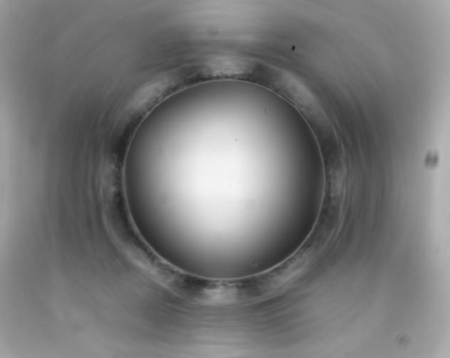 X0000092060362200709121359
