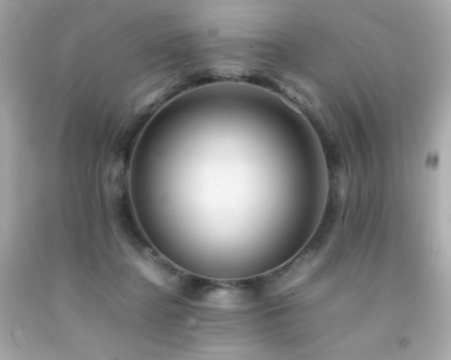 X0000092060364200709121359