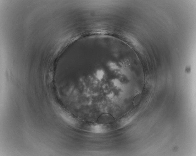 X0000092060365200709121359
