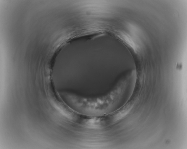 X0000092060366200709121359