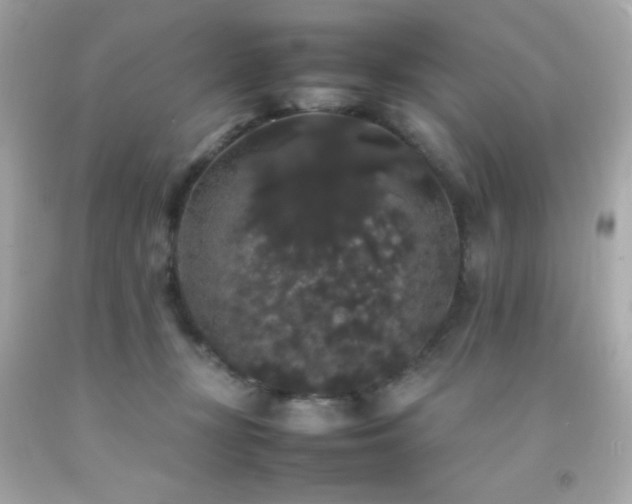 X0000092060367200709121359