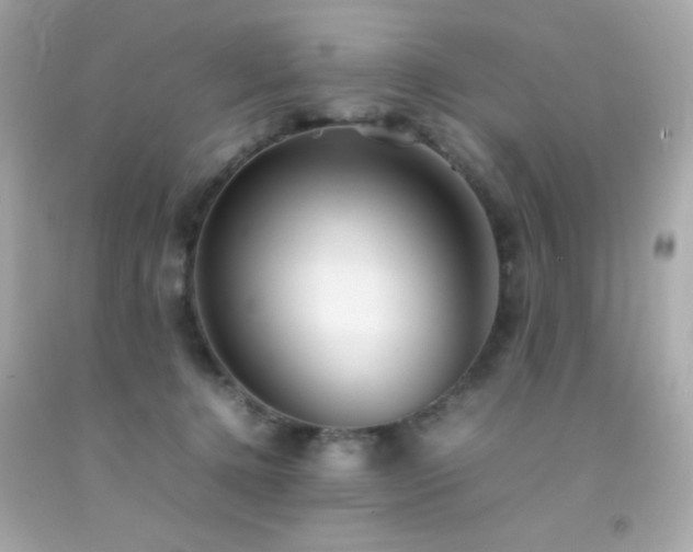 X0000092060368200709121359