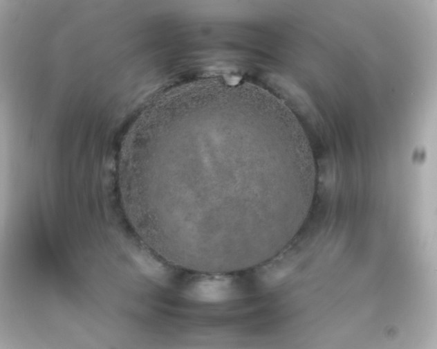 X0000092060369200709121359