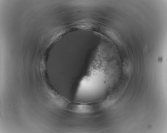 X0000092060371200709121359