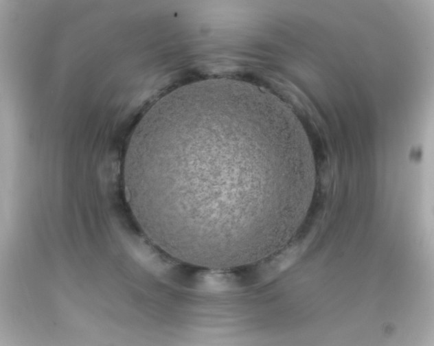 X0000092060372200709121359