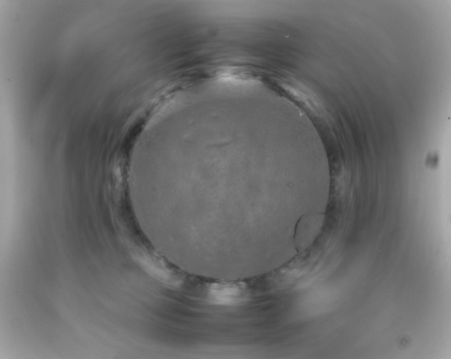 X0000092060373200709121359