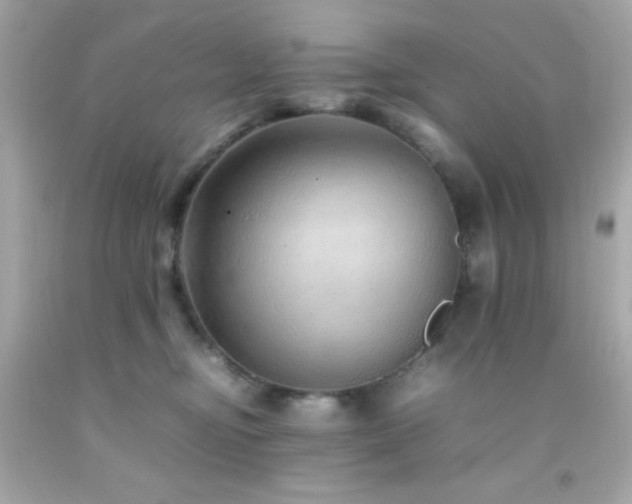 X0000092060374200709121359