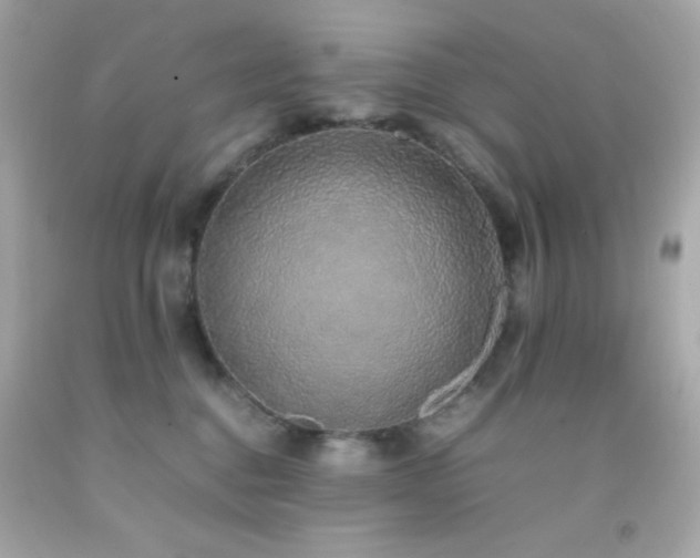 X0000092060376200709121359