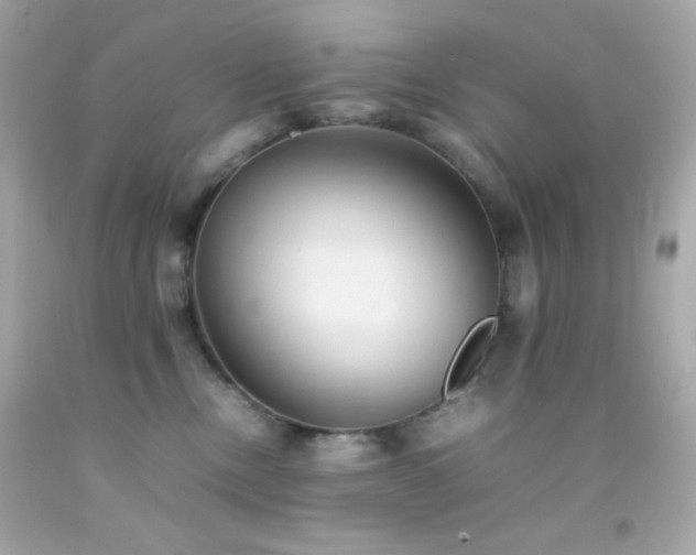 X0000092060378200709121359
