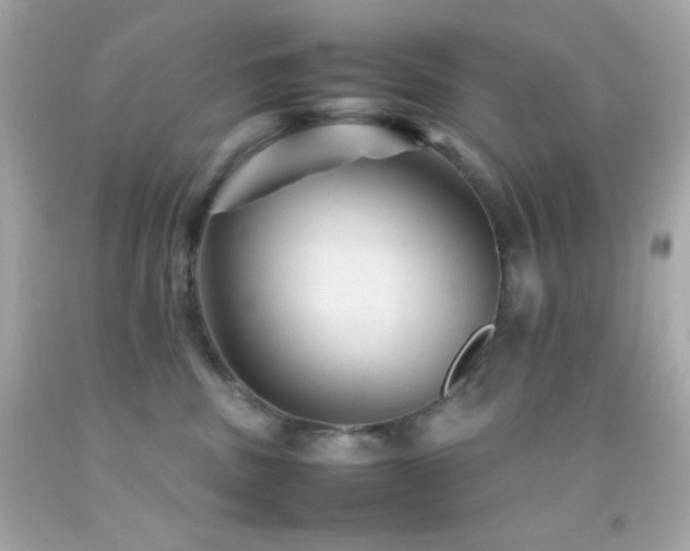 X0000092060379200709121359