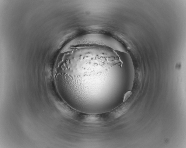 X0000092060380200709121359