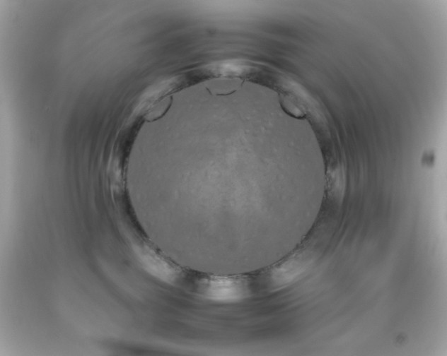X0000092060381200709121359