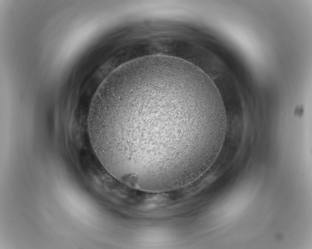 X0000092060382200709121359