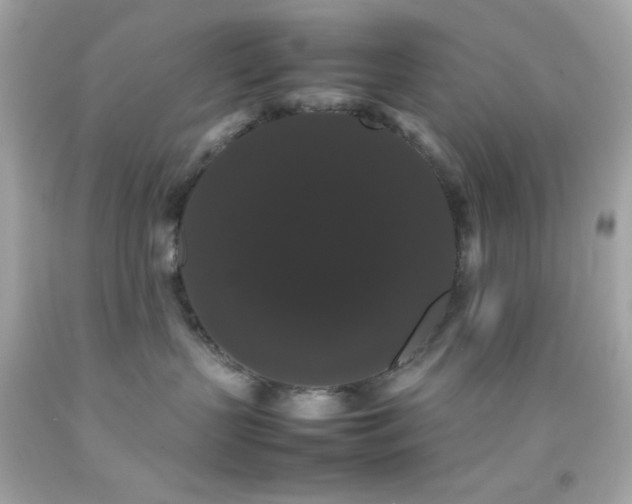 X0000092060383200709121359