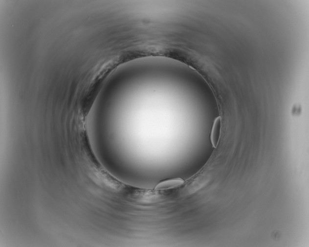 X0000092060384200709121359