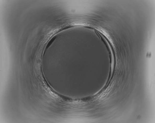 X0000092060385200709121358