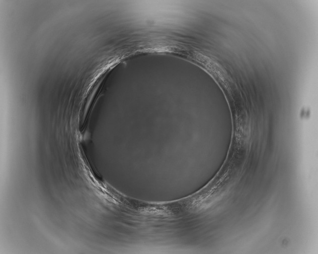 X0000092060386200709121358