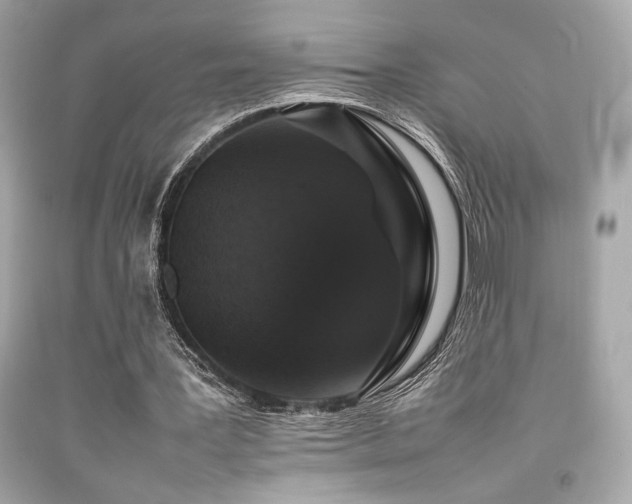 X0000092060387200709121358