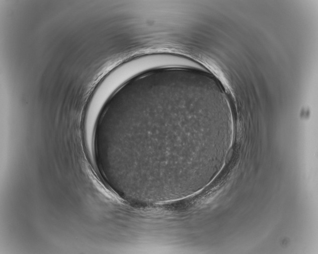 X0000092060389200709121358