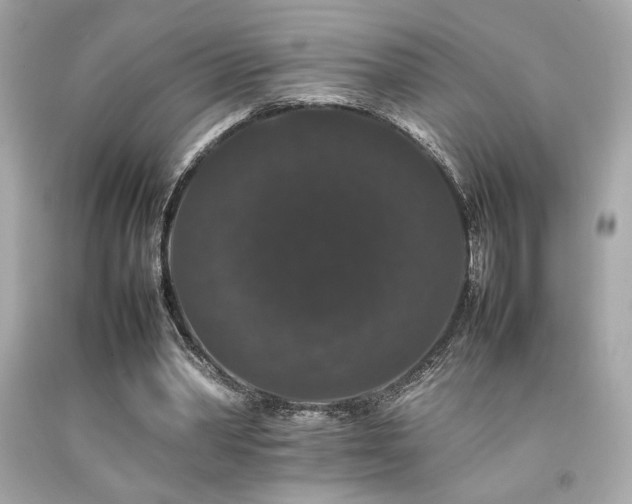 X0000092060390200709121358