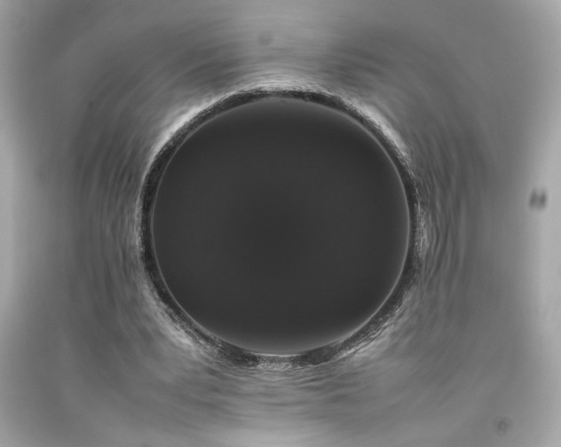 X0000092060391200709121358