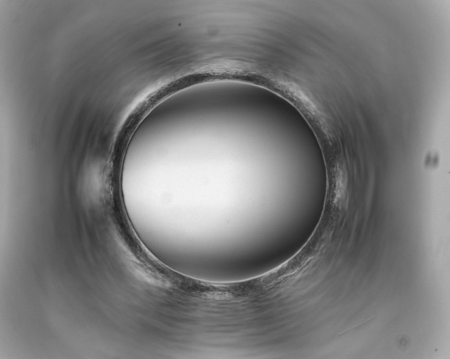 X0000092060392200709121358