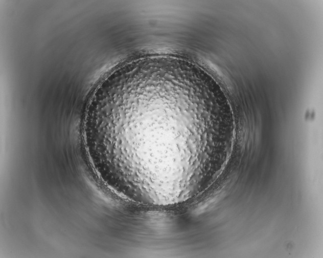 X0000092060394200709121358